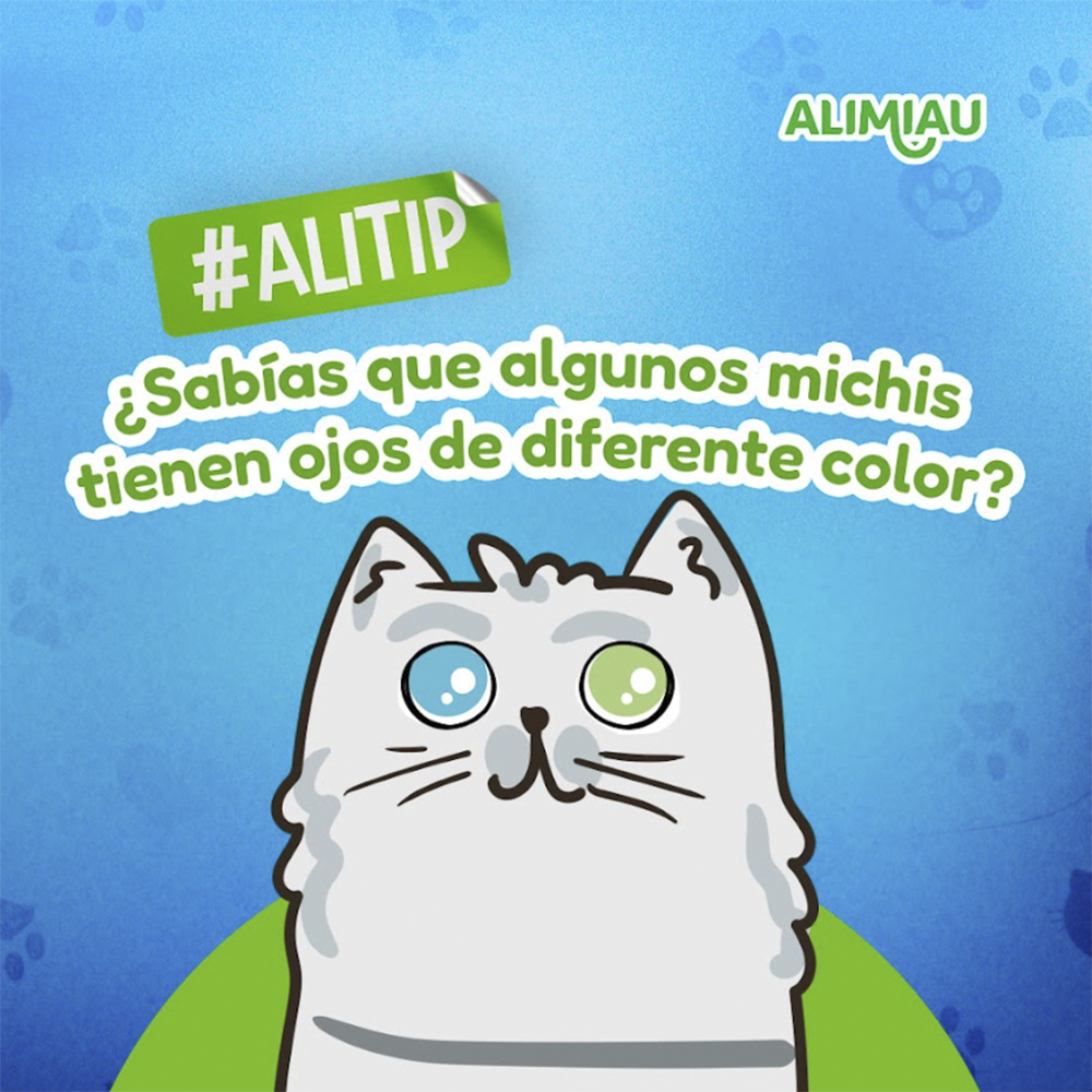 Alimiau