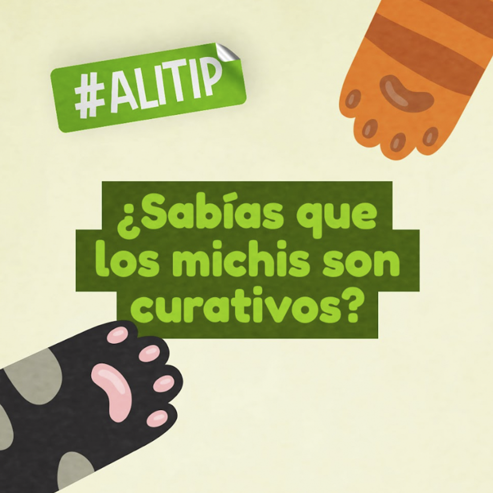 Alimiau
