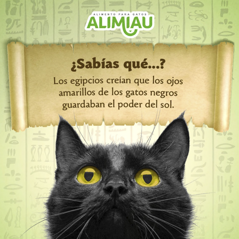 Alimiau
