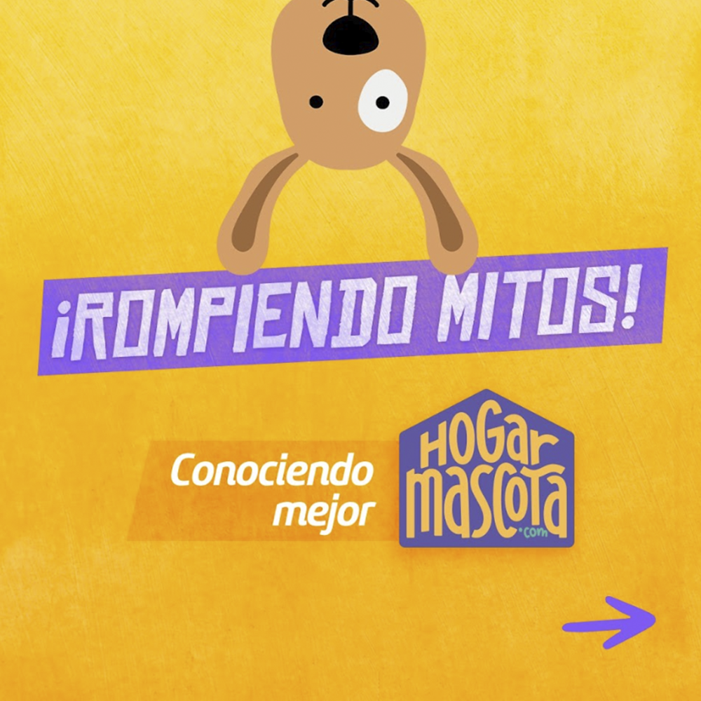 Hogar Mascota